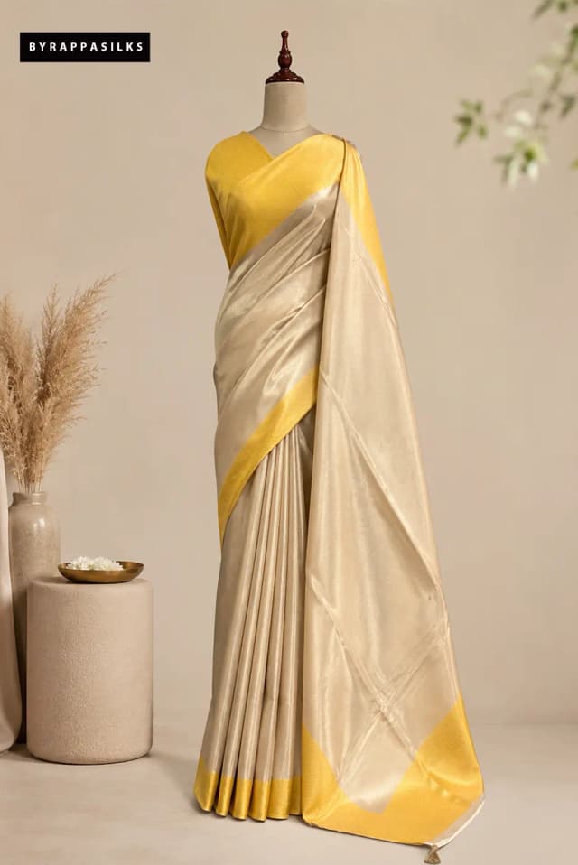 Tissue Saree With Banarasi Border AA314901