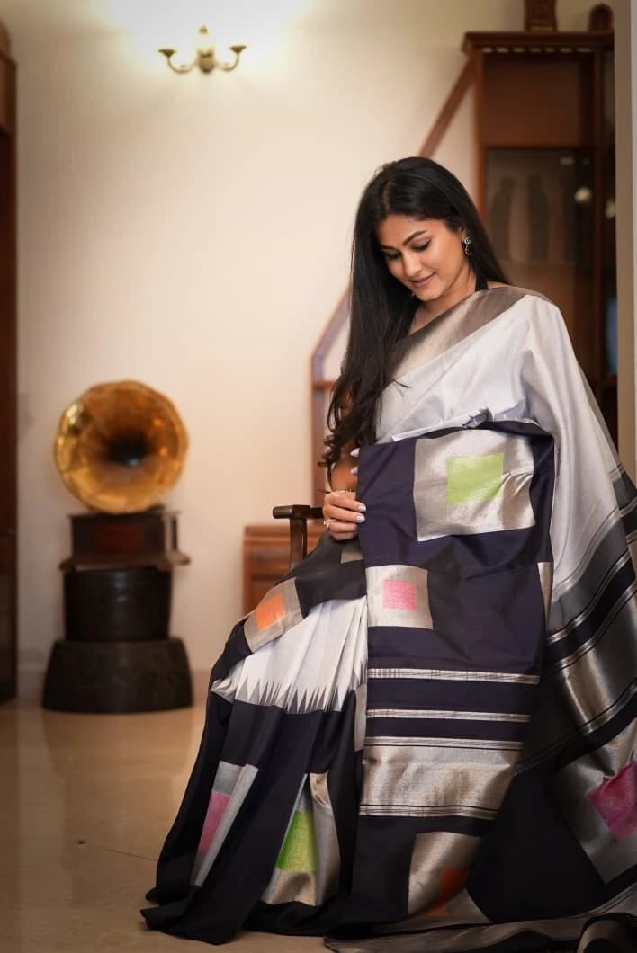 Kanjeevaram  Elegant Silver & Black Handloom Pure Silk Saree QW202566